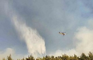 Veterinerlerden yangına ’can dostu’ desteği