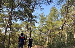 Bozdoğan’da ’orman yangını’ devriyesi