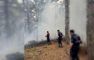 Büyükşehir Belediyesi yangınlara anında müdahale...