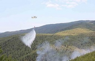 Çine yangınına yoğun müdahale sürüyor