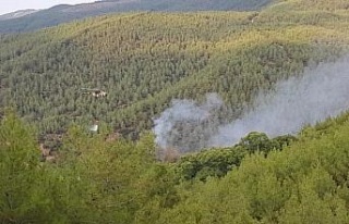 Çine’deki orman yangını kontrol altına alındı