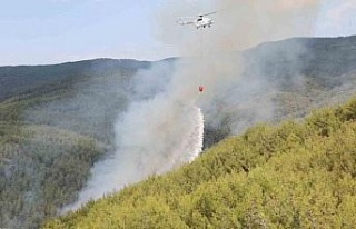 Çine’deki orman yangınını söndürme çalışmaları...