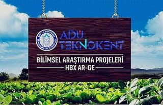 Değeri bilinmeyene semizotu, sağlık dostu çıktı
