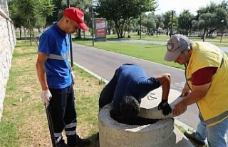 Efeler Belediyesi Sağlık İşleri Müdürlüğü...