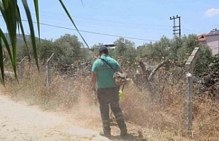 Efeler’de çevre temizliği sürüyor