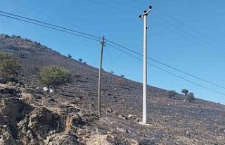 Karpuzlu’daki makilik yangın kontrol altına alındı