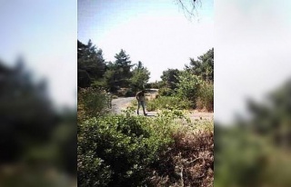 Kuşadası’nda 2 düzensiz göçmen yakalandı