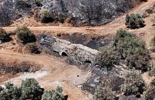 Kuşadası’ndaki orman yangınında antik su kemeri...