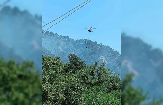 Kuyucak’taki orman yangınının sebebi belli oldu