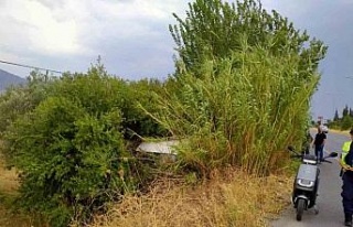 Yoldan çıkan ticari araç ağaca çarptı: 2 yaralı