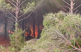 Alevler Muğla’ya dayandı