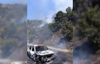 Araçtan çıkan yangın ormana sıçradı