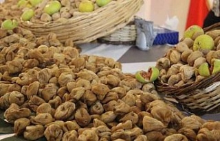 Aydın inciri altınla yarışıyor