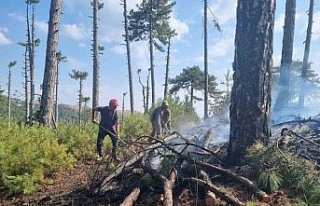 Aydın Kuyucak’taki orman yangını kontrol altına...