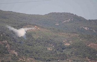 Aydın’daki orman yangını kontrol altında