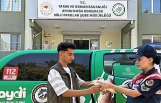 Bitkin halde bulunan yaralı ’balıkçıl kuşu’...