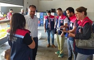 Aydın’da incir üreticilerine aflatoksin ve okratoksin...