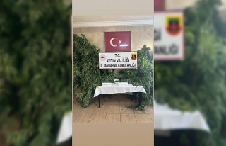 Germencik’te uyuşturucu operasyonu: 1 gözaltı