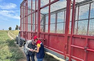 Söke’de pamuk hasat makineleri denetlendi