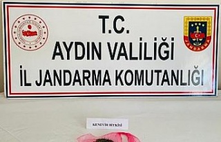 Uyuşturucu kullanan 7 kişi yakalandı