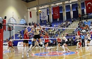 Aydın Büyükşehir Belediyespor, evinde kaybetti