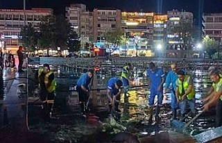 Aydın, Büyükşehirle daha yeşil bir görünüme...