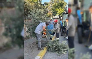 Çiçek gibi Nazilli için belediye ekipleri durmuyor