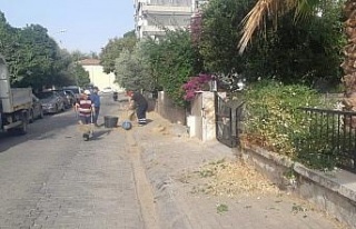Efeler’de temizlik ve bakım çalışmaları hız...