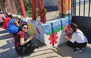 Gönüllü gençler ilkokul duvarlarını renklendirdi