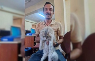 Söke İlçe Tarım ve Orman Müdürlüğü’nden...