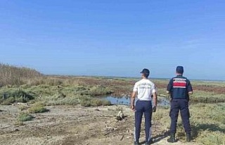 Söke’de sulak alanlarda Jandarmanın devriyesi...