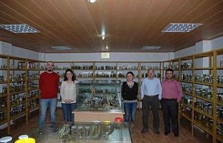 Yeni bir bakteri türü bulundu