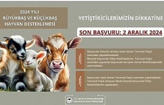 Aydın İl Tarım ve Orman Müdürlüğü’nden destekleme...