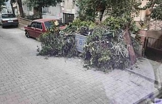 Nazilli Belediyesi Temizlik İşleri Müdürlüğü’nden...