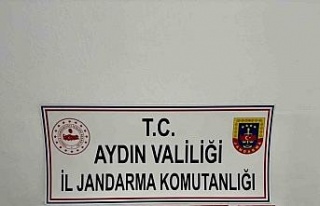 Şüpheli şahıstan tabanca ele geçirildi