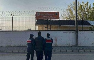 Aydın jandarmasından eş zamanlı ÇEMBER-51 operasyonu:...