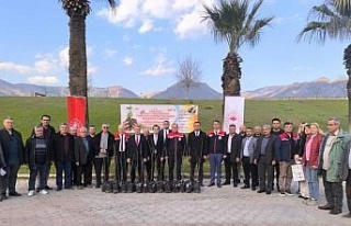 Aydın’ın ilk ilek bahçesi Buharkent’te kurulacak