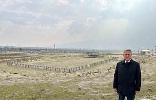 Buharkent Deve Güreşi için hazırlıklar tamamlanıyor