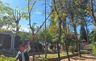 Efeler’in ekipleri kent genelinde çalışmalarını...