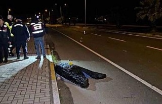 Kardeşini kazadan korumak isteyen ağabey, otomobilin...