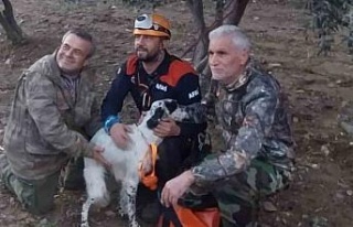Uçurumda mahsur kalan av köpeğini Aydın AFAD kurtardı