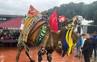 Develer podyuma çıktı, en yakışıklısı seçildi