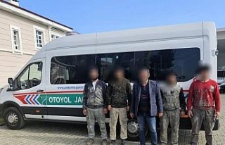 Durdurulan araçta 4 düzensiz göçmen yakalandı