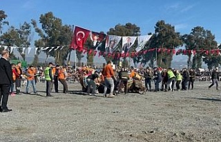 Pehlivan develer yılın ilk güreşinde İncirliova’da...