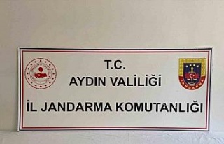 Uyuşturucu kullanan şahıslar jandarmadan kaçamadı