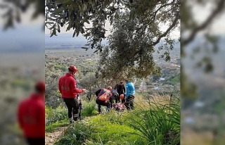 Ağaçtan düşerek ayağı kırılan vatandaşı...
