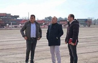 Bozdoğan, Deve Güreşi’ne hazırlanıyor