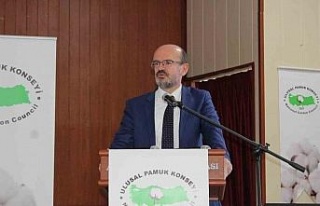Bu yıl pamuk toprağa ekilmeden desteklemeler açıklandı