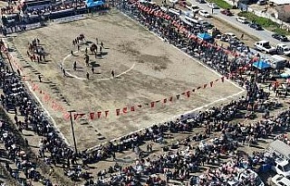 Çine’de deve güreşinin güvenliğini jandarma...