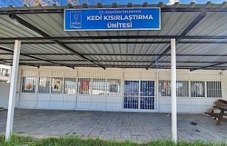 Davutlar Mahallesi’ne kedi kısırlaştırma merkezi...
